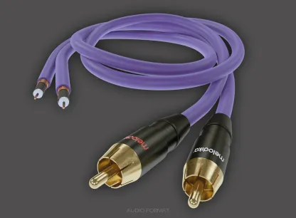 Melodika MDSW RCA