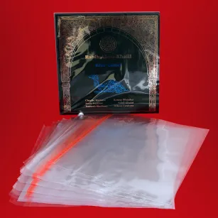 Simply Analog PP Self-Sealing Sleeves 12" - Samozamykająca Koszulka PP na Okładki Płyt Winylowych | Odsłuch | Raty 0% | Salon Warszawa | Autoryzowany Dealer | Negocjuj cenę |