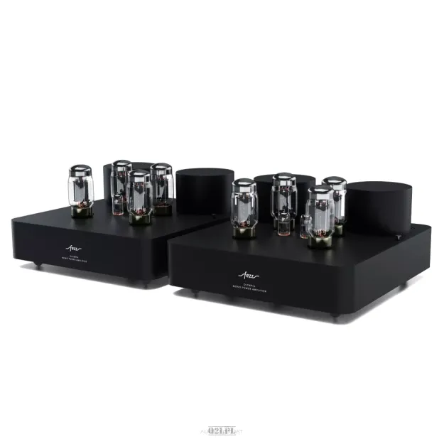 Fezz Audio Olympia Mono Power Amplifier EVO Black Ice - Końcówka mocy | Odsłuch | Raty 0% | Salon Warszawa | Autoryzowany Dealer | Negocjuj cenę |